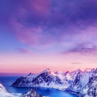 iPhone 13 Pro nature wallpaper