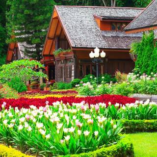 Houses mobile wallpaper