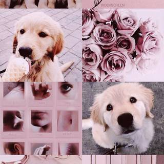 Dog collages wallpaper