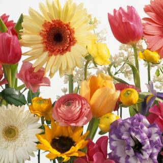 Mixed flowers wallpaper