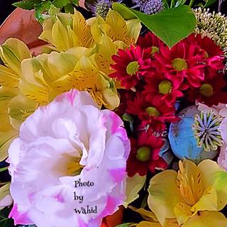 Mixed flowers wallpaper
