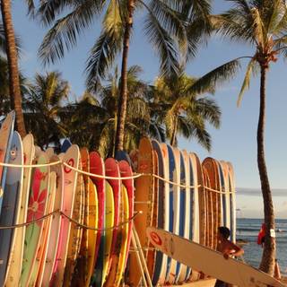 Surf summer wallpaper