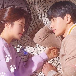 Meow The Secret Boy wallpaper