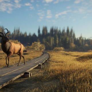 Call of the Wild: The Angler wallpaper