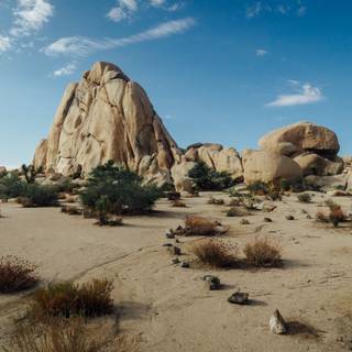 Yoshua Trees NP, California wallpaper