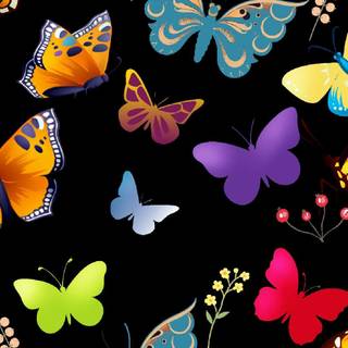 Colourful butterfly wallpaper