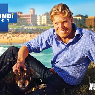 Bondi Vet wallpaper