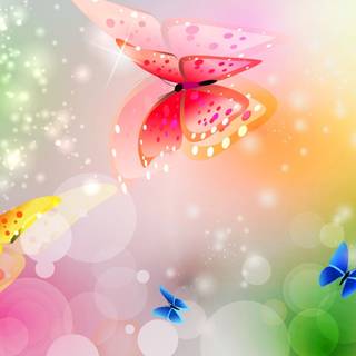 Colourful butterfly wallpaper