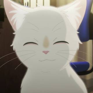 A Whisker Away cat wallpaper