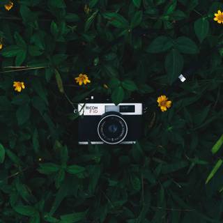 Camera green wallpaper
