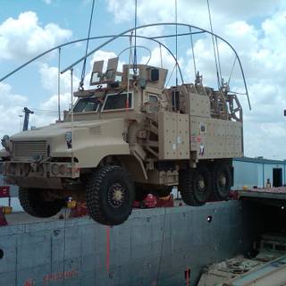 Caiman 6x6 wallpaper