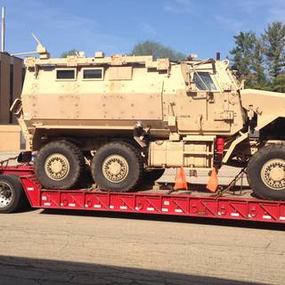 Caiman 6x6 wallpaper