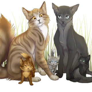 Leafpool wallpaper