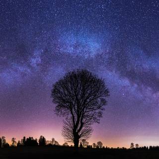 Autumn night sky wallpaper