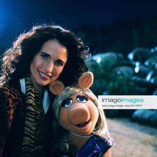 Muppets from Space wallpaper