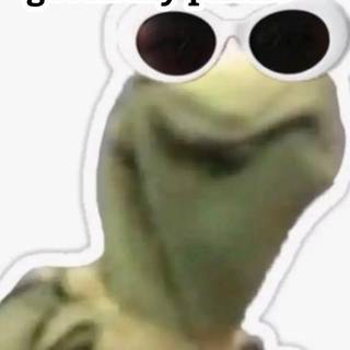 Kermit funny wallpaper