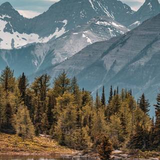 Summer mountains phone wallpaper