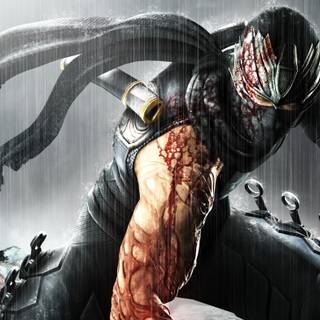Ninja video games wallpaper