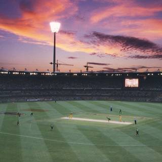 Cricket grounds wallpaper