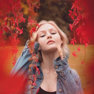 Kall Me Kris wallpaper