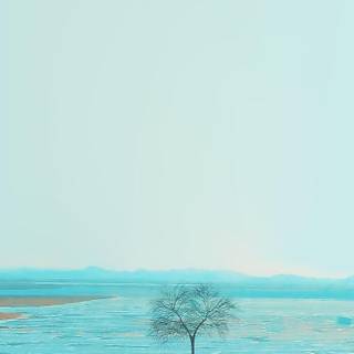 Spring day cartoon wallpaper