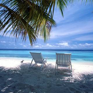 Vacation summer house wallpaper