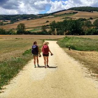 Camino de Santiago wallpaper