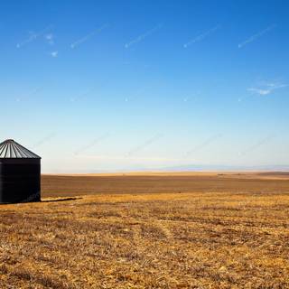 Grain bin wallpaper