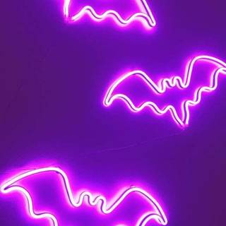 Halloween green and purple wallpaper