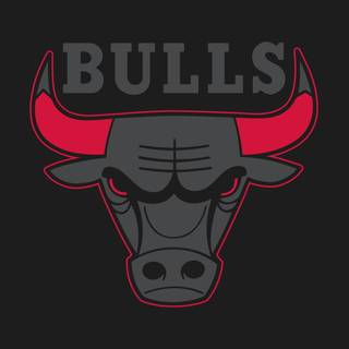 Bulls logo computer wallpaper