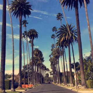 Summer Los Angeles wallpaper