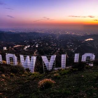 Summer Los Angeles wallpaper