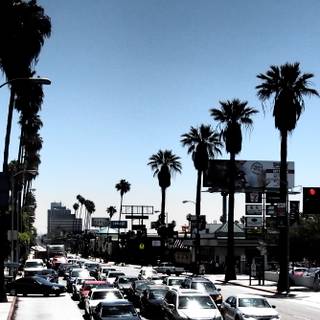 Summer Los Angeles wallpaper