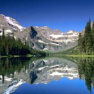 National Park logo wallpaper