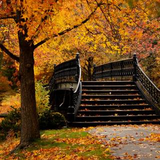 2022 fall season wallpaper