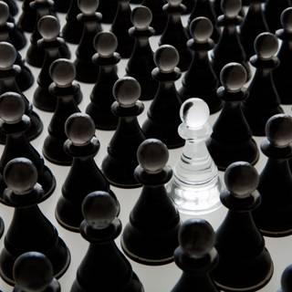 Chess player wallpaper