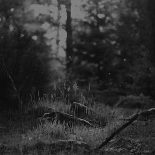 Preto no Branco wallpaper