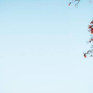 Sky blue colour wallpaper