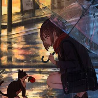 Anime rain HD wallpaper