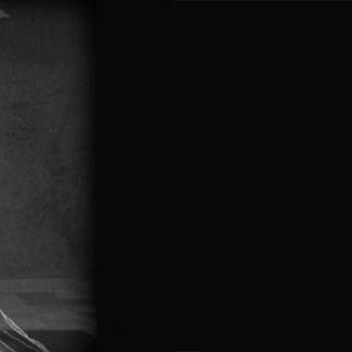 Fritz Lang wallpaper