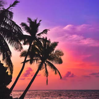 Tropical sunrise wallpaper
