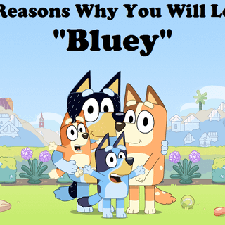 Bluey's dad wallpaper
