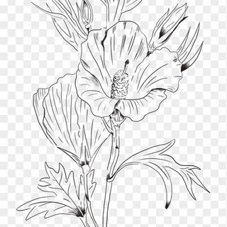 Flower sketch wallpaper