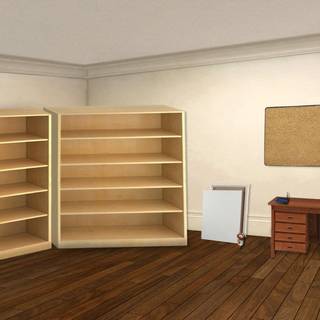 Shelves computer wallpaper