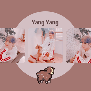 Yang Yang desktop wallpaper