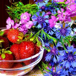 Early morning summer wallpaper