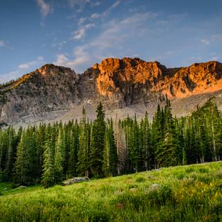 Apple 4k PC wallpaper