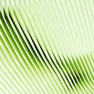 Mint green vibes wallpaper