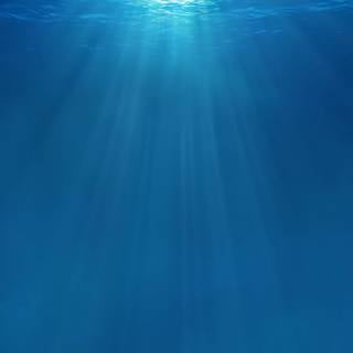 Underwater ocean iPhone wallpaper