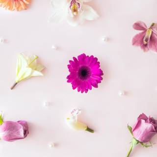 Springtime flower wallpaper